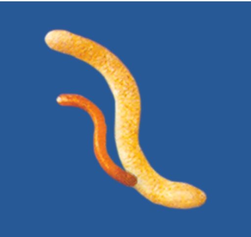 Loading Image